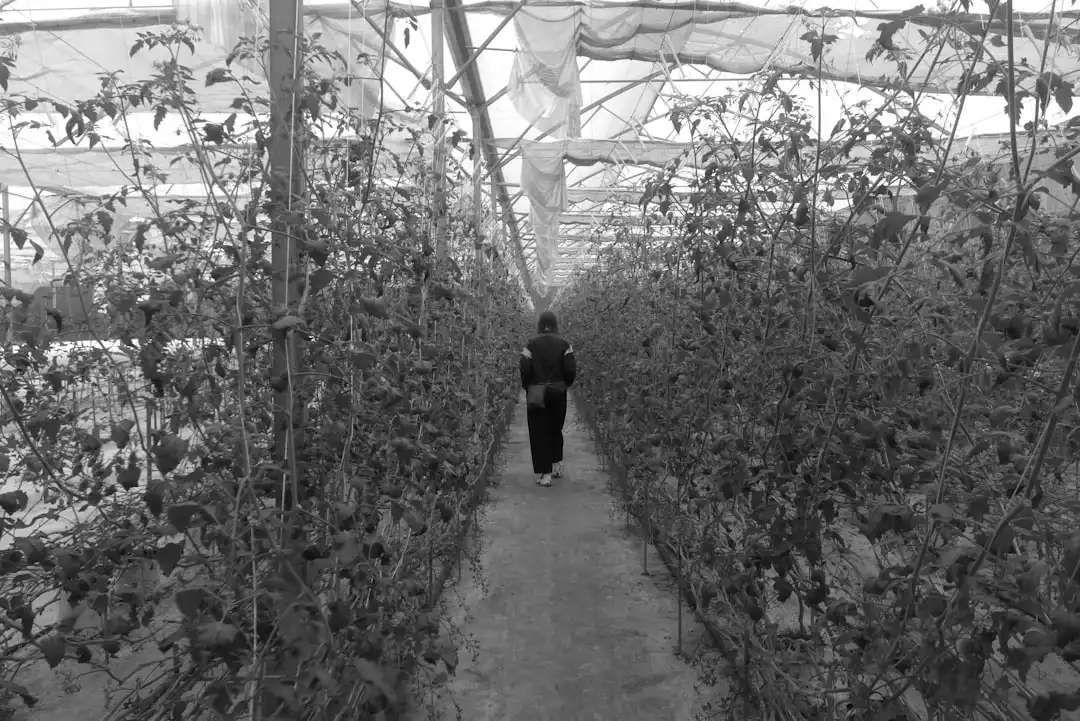 外墙保温层开裂渗水隐患及恒凡达保温施工控制方案