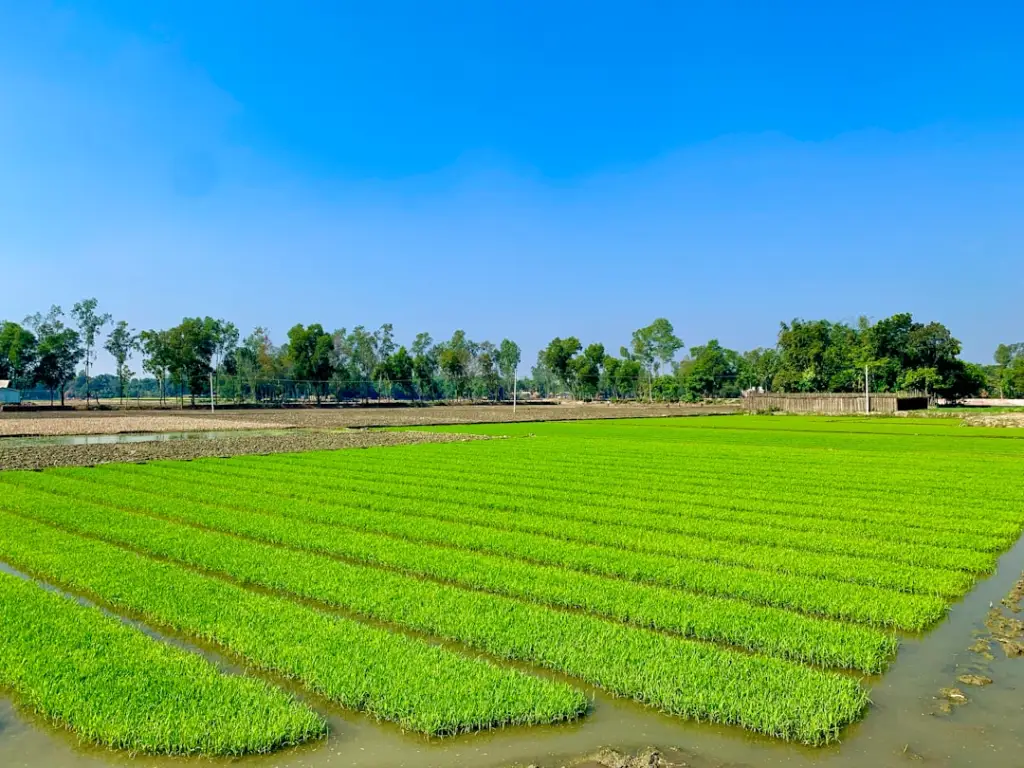 重庆恒凡达建筑工程：屋面防水施工难点与技术突破解析