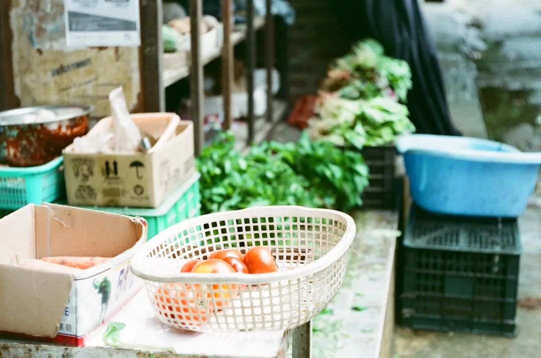 重庆恒凡达建筑屋面防水工程渗漏成因与技术防治方案